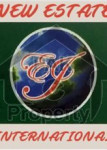 New Estate International