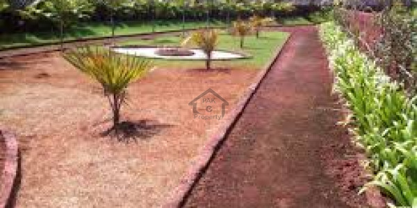 10 Marla Ideal Location Plot For Sale