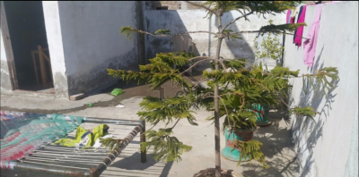 5 Marla 2 Bad Room Newly Built Home For Sale