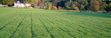 Commercial Plot For Sale