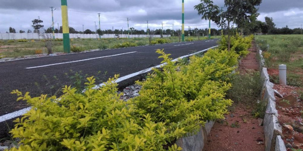 Extension File Is Available For Sale