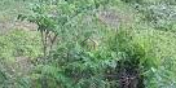 Residential Plot Is Available For Sale