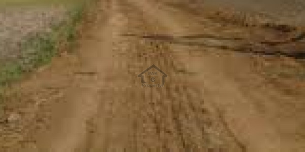 Agricultural Land Is Available For Sale