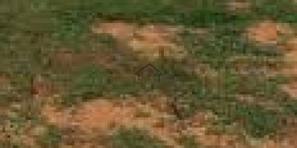 Agricultural Land Is Available For Sale