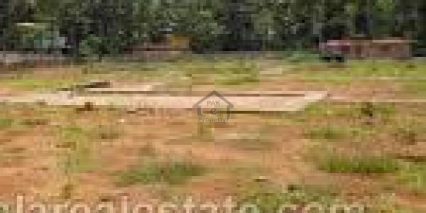 13 Marla Double Storey Beautiful House