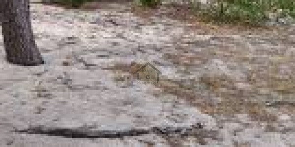 Hot Deal! Investment Opportunity!