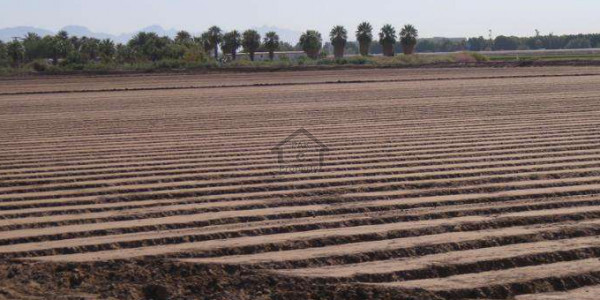 Commercial Plot Is Available For Sale