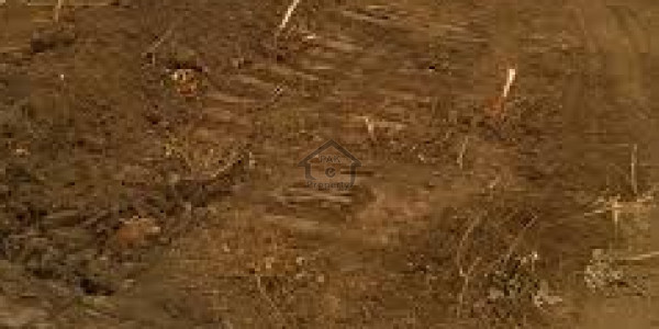 Commercial Plot Is Available For Sale