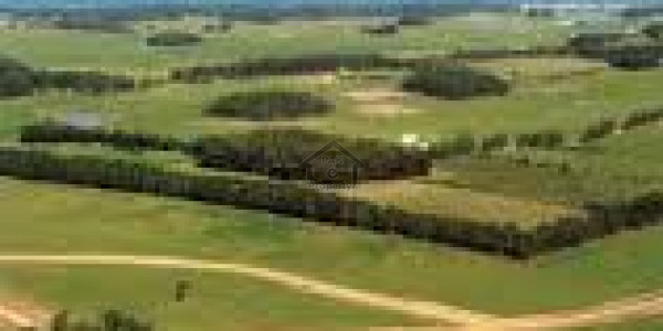 Plot File Available For Sale