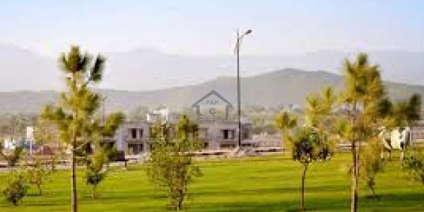 Plot Is Available For Sale