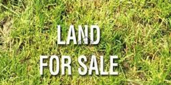 Sun Face Plot For Sale