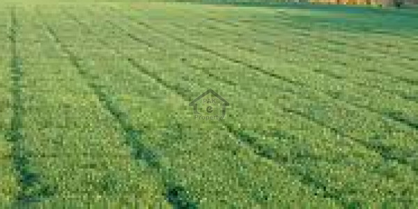 Residential Plot Is Available For Sale