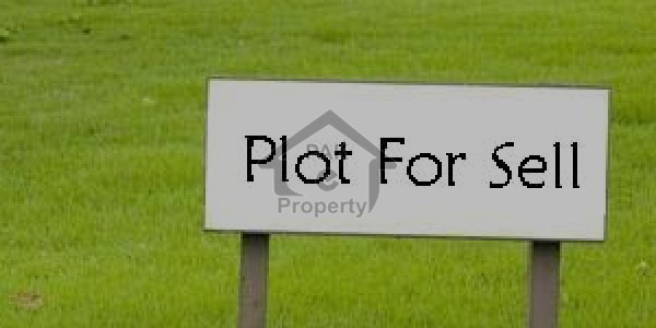 Farm house land For Urgent Sale