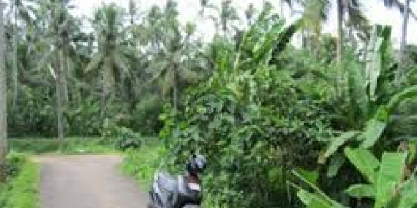 Residential Plot Available For Sale