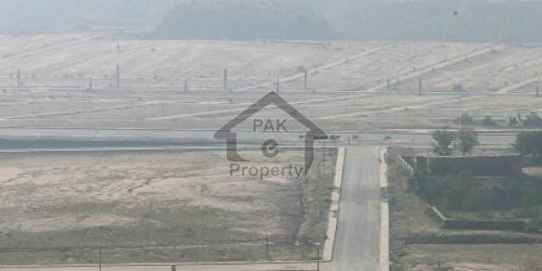 40x80 12 Marla Pot For Sale G-14/3 In Street No 117