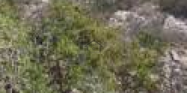 1 Kanal Ideal Residential Plot For Sale