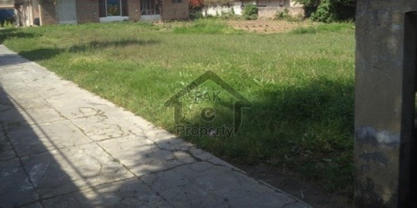 Shop Is Available For Sale