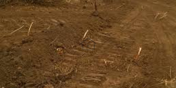 Double Storey House Is Available For Sale