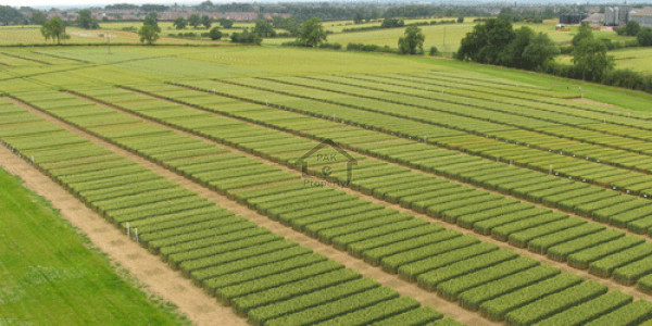 Double Storey House Is Available For Sale