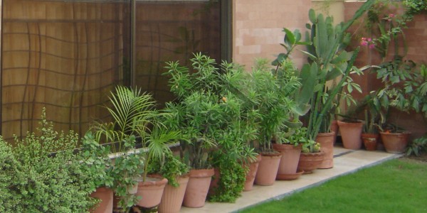 Upper Portion Available For Rent