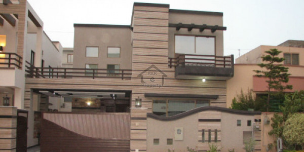 1st Floor Is Available