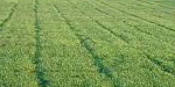 25x40 Corner Street 67 Main Road Extra Land Plot No. 29-C