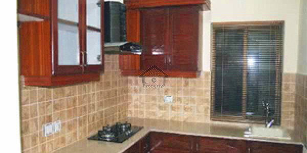 5 Bed Full House For Rent In F-8/3