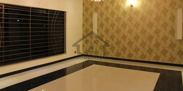 Renovated House 555(50*100) Sq.yd.