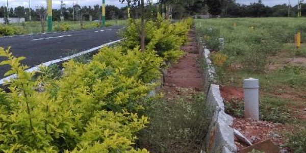 2 Kanal Residential Plot For Sale Plot No 69 Urgent Sale