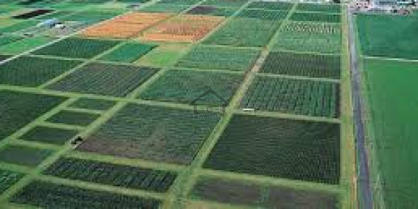 Near International Airport Commercial Plots For Sale 80 Fts Road At Cheap Prices