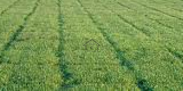 8 Marla Commercial Plot for Sale at Best Rate