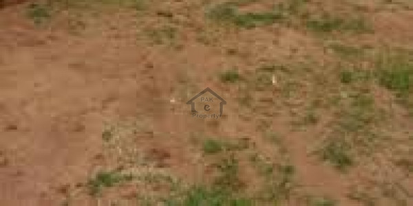 Agricultural Land Is Available For Sale