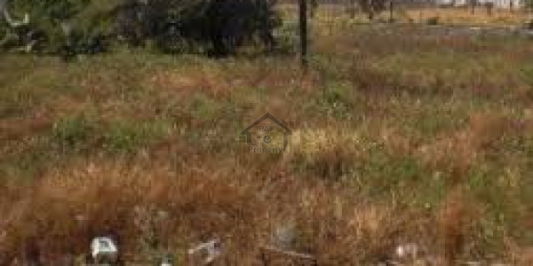 Agricultural Land Is Available For Sale