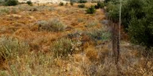 AWT 2 - 60 Feet Road Pole Free Line Plot For Sale