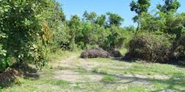 AWT 2 - 5 Marla Corner Facing Park 3 Side Open Commercial Pair Plot