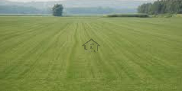 Commercial Plot For Sale Of 3 Kanaal 13 Marla - Main Adda Plot