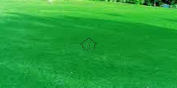 Commercial Plot AWT Cheapest Plot