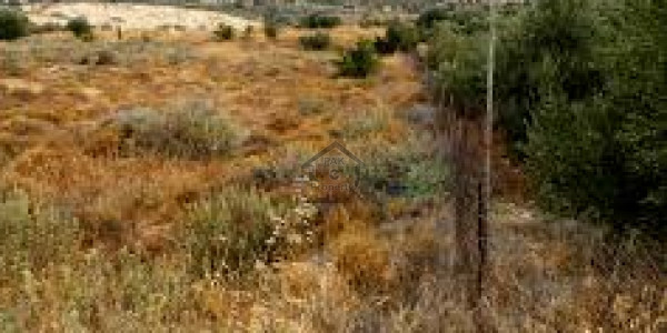 Residential Plot For Sale In E-11/4