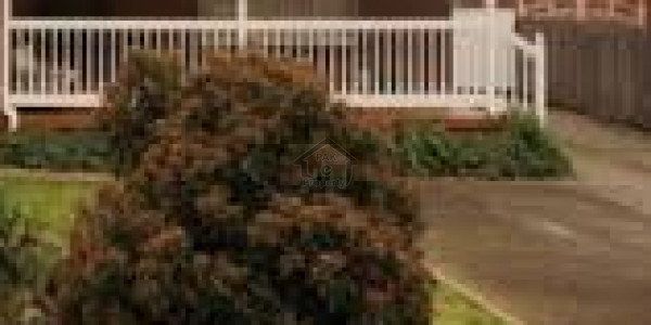 Single Storey House For Rent