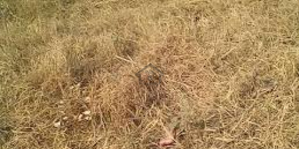 4 Kanal Corner Commercial Plot Is Available For Sale