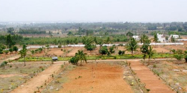 4 Kanal Farm House Land Is Available For Sale In Executive Block Gulberg Greens Islamabad Very Beaut