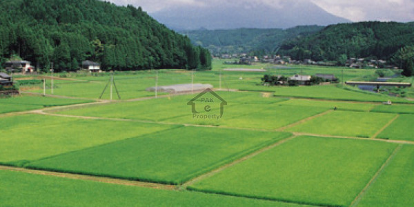 Paragon City 5 Marla Plot No 390 Block Imperial For Sale Hot Deal Very Low Price Rs. 56 Lac