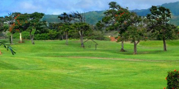 5 Marla Plot At A Reasonable Rate