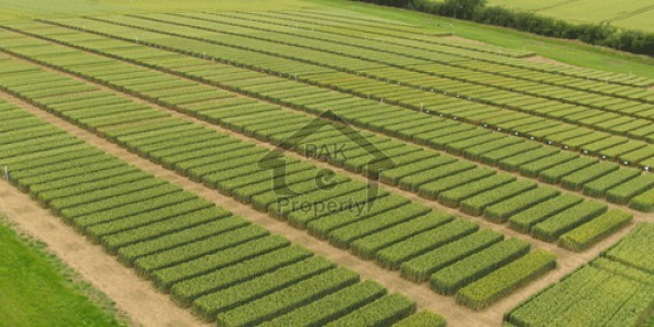 Residential Plot Available For Sale