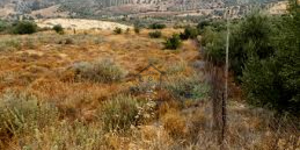 E-12/1 Plot For Sale