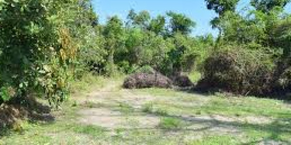 Residential Plot Is Available For Sale