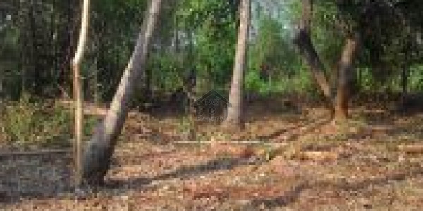 Residential Plot Is Available For Sale