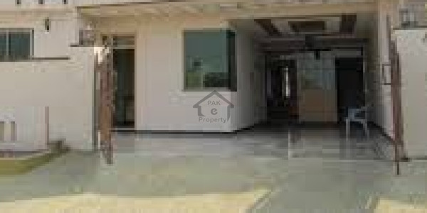 Ground Portion For Rent