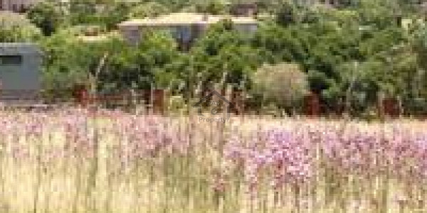 Residential Plot Is Available For Sale