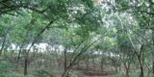 Residential Plot Is Available For Sale